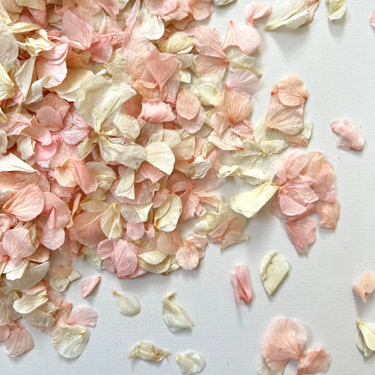 Pink Blossom Natural Confetti | 100% Natural & Biodegradable