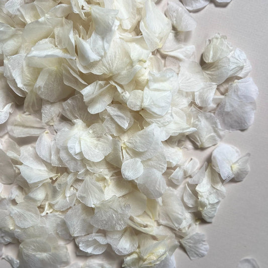 White Hydrangea Petal Natural Confetti | 100% Natural & Biodegradable