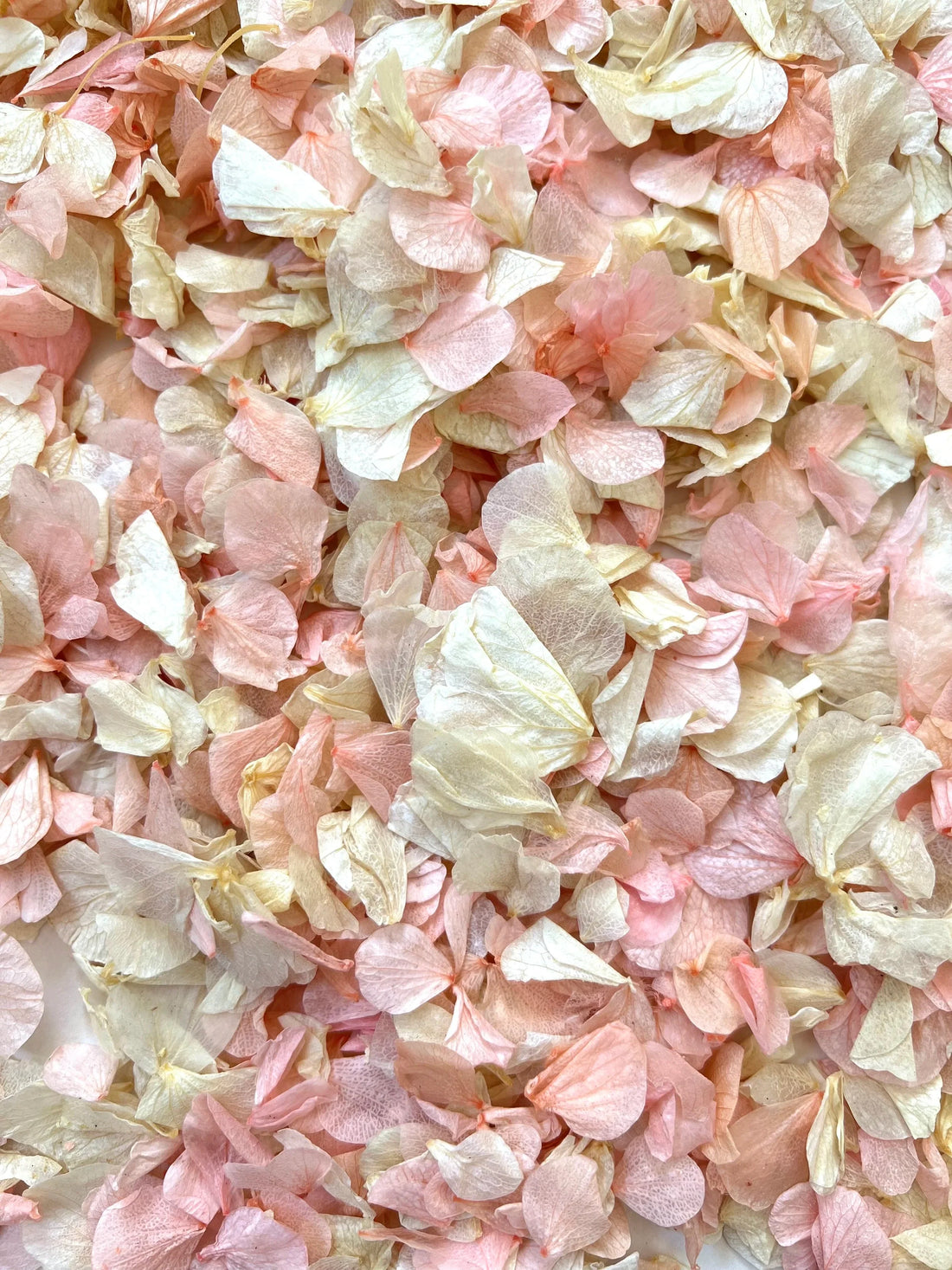 Eco-Friendly Confetti: Celebrate Responsibly