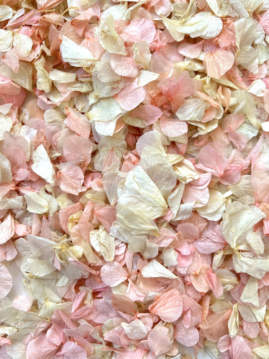 Eco-Friendly Confetti: Celebrate Responsibly