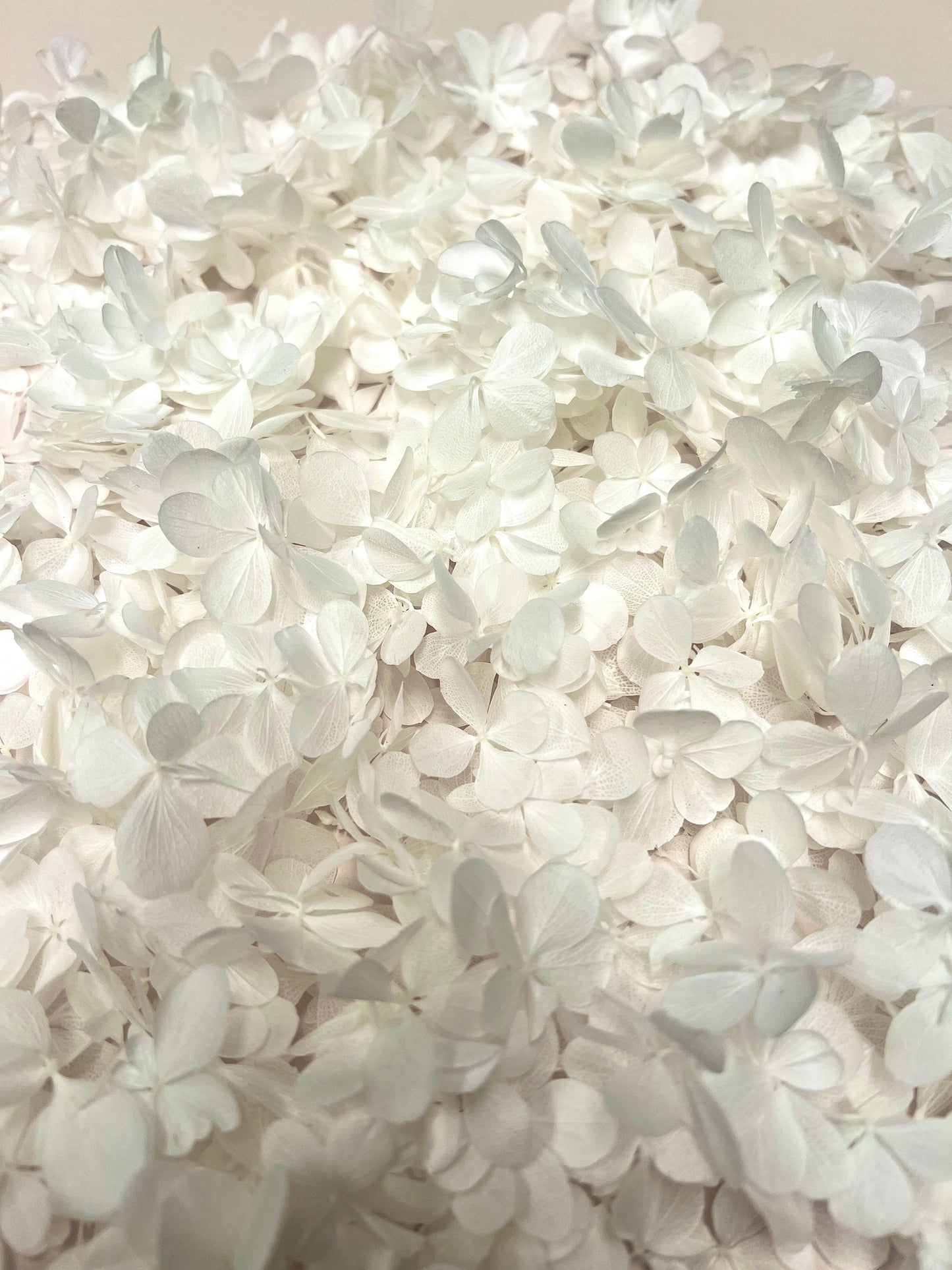 Hydrangea Butterfly Confetti 