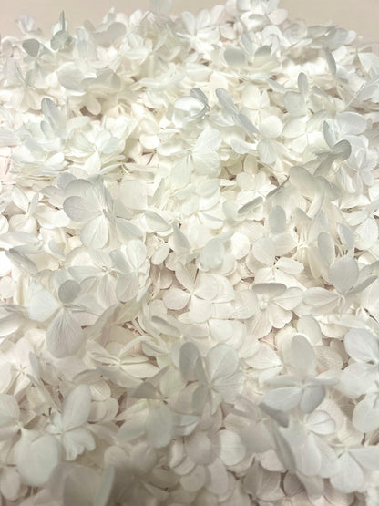 Hydrangea Butterfly Confetti 
