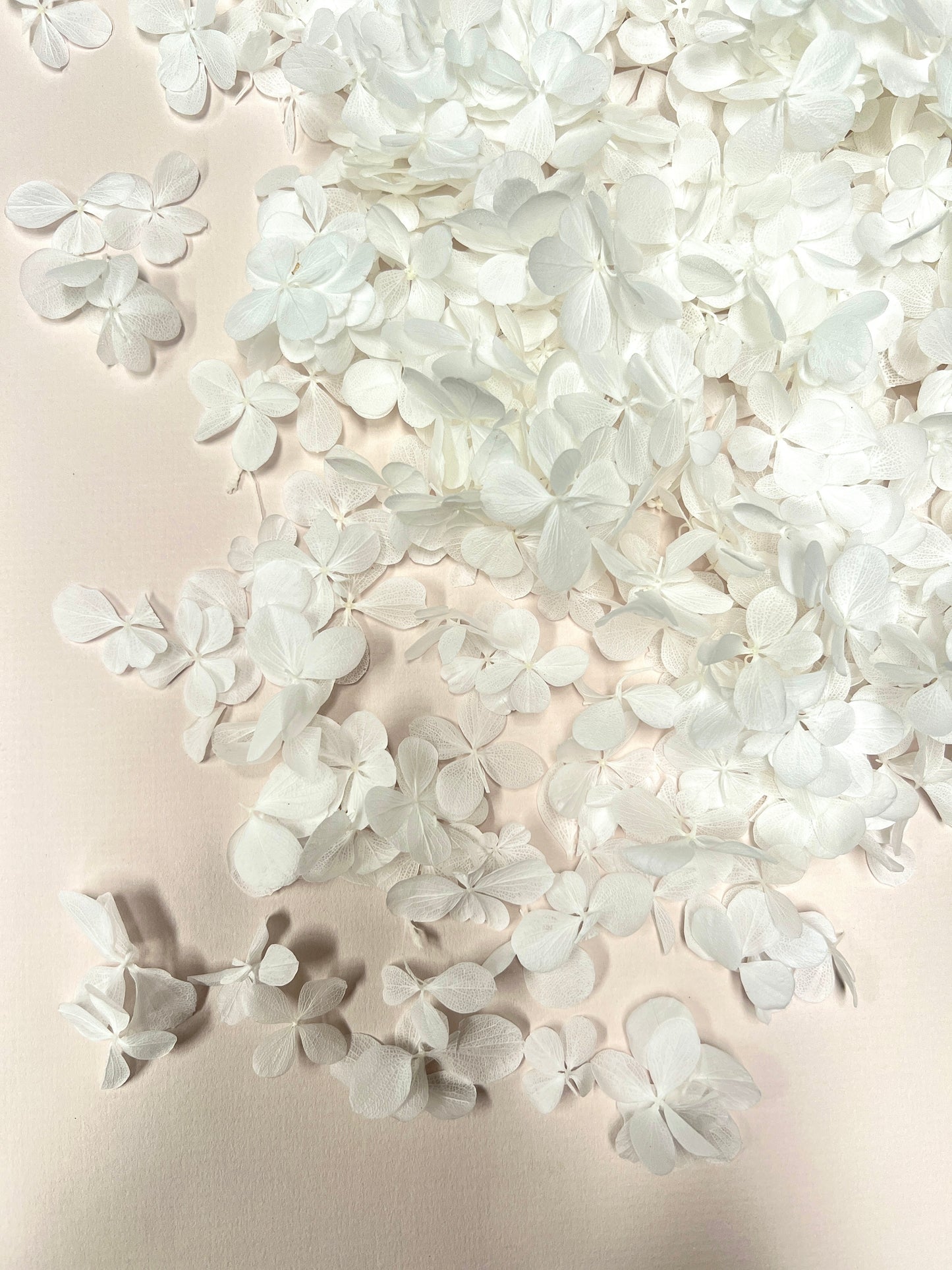 Luxury White Wedding Hydrangea Confetti