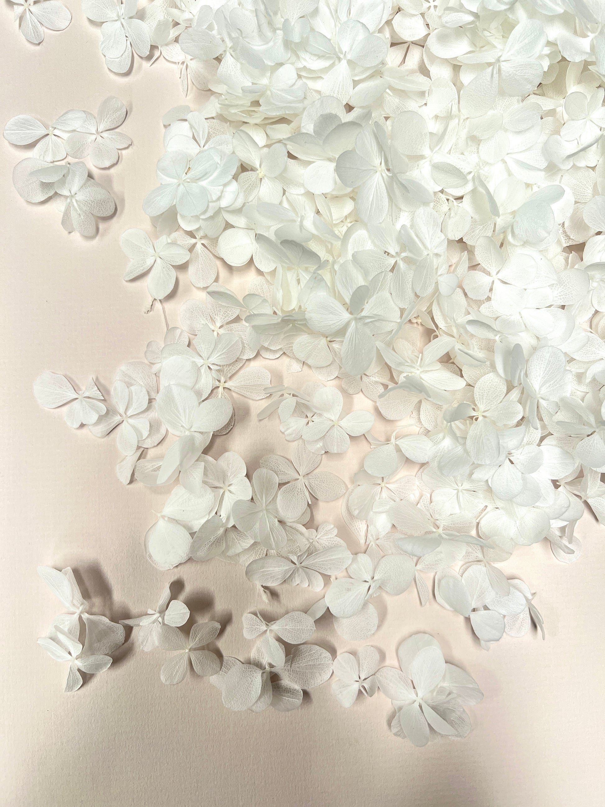 Luxury White Wedding Hydrangea Confetti