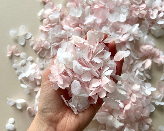 White and Pink Butterfly Hydrangea Petals