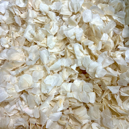 Ivory Hydrangea Petal Natural Confetti | 100% Natural & Biodegradable