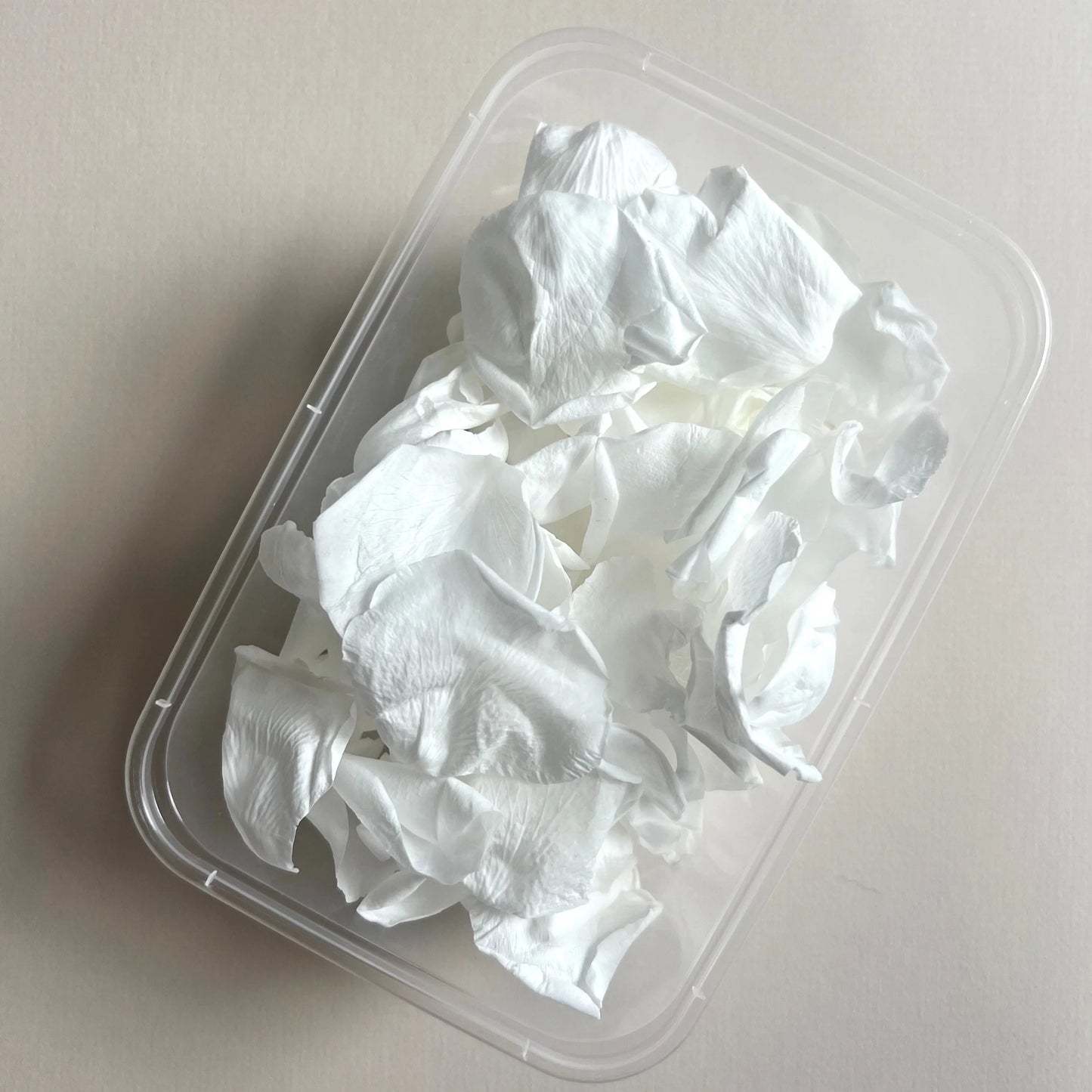 Large White Rose Petal Confetti | 100% Natural & Biodegradable | 8 Handfuls+