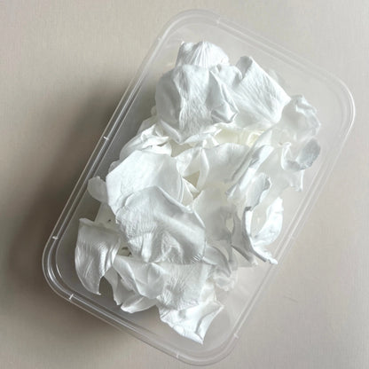 Large White Rose Petal Confetti | 100% Natural & Biodegradable | 8 Handfuls+