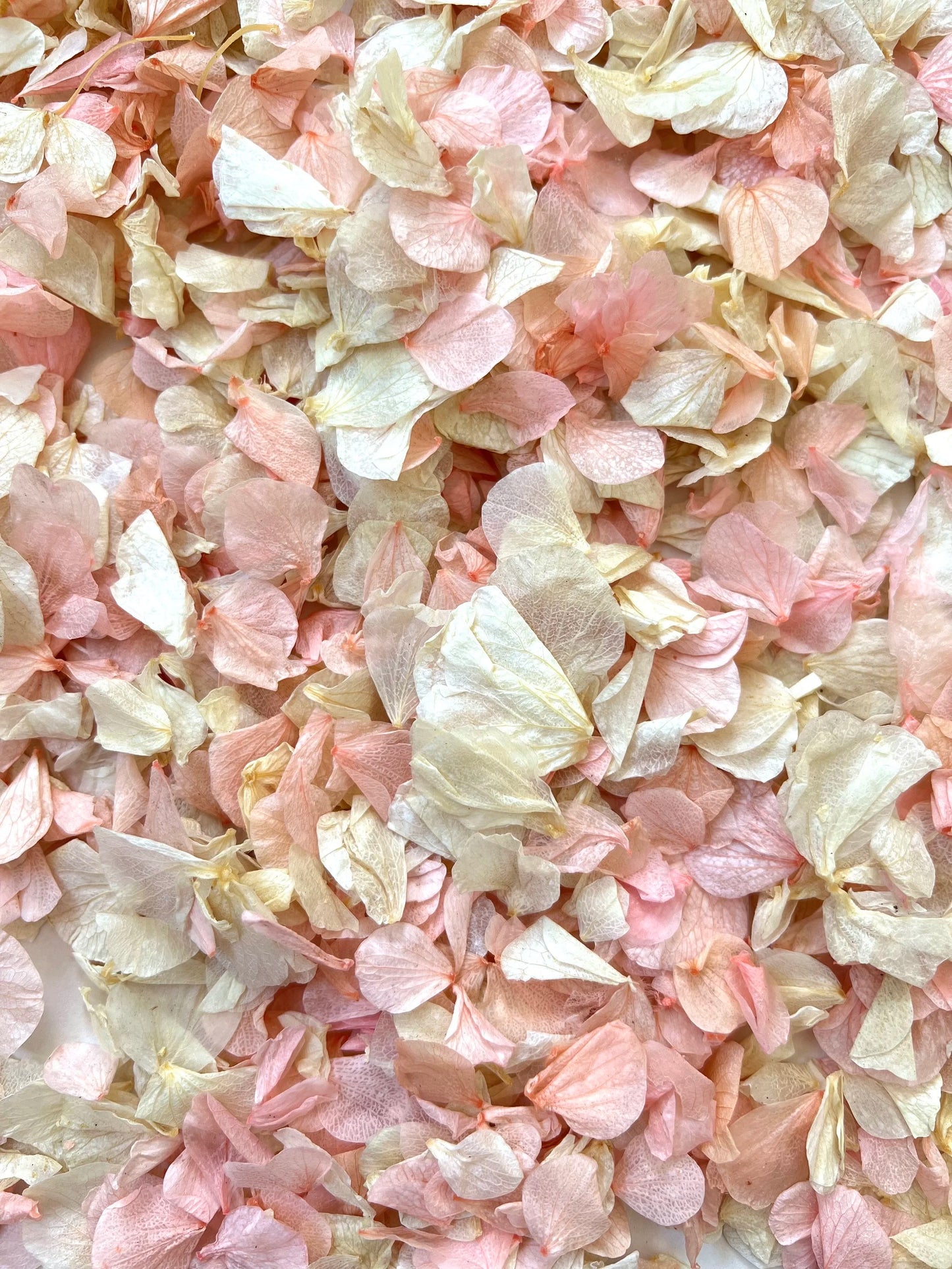 Confetti Sample
