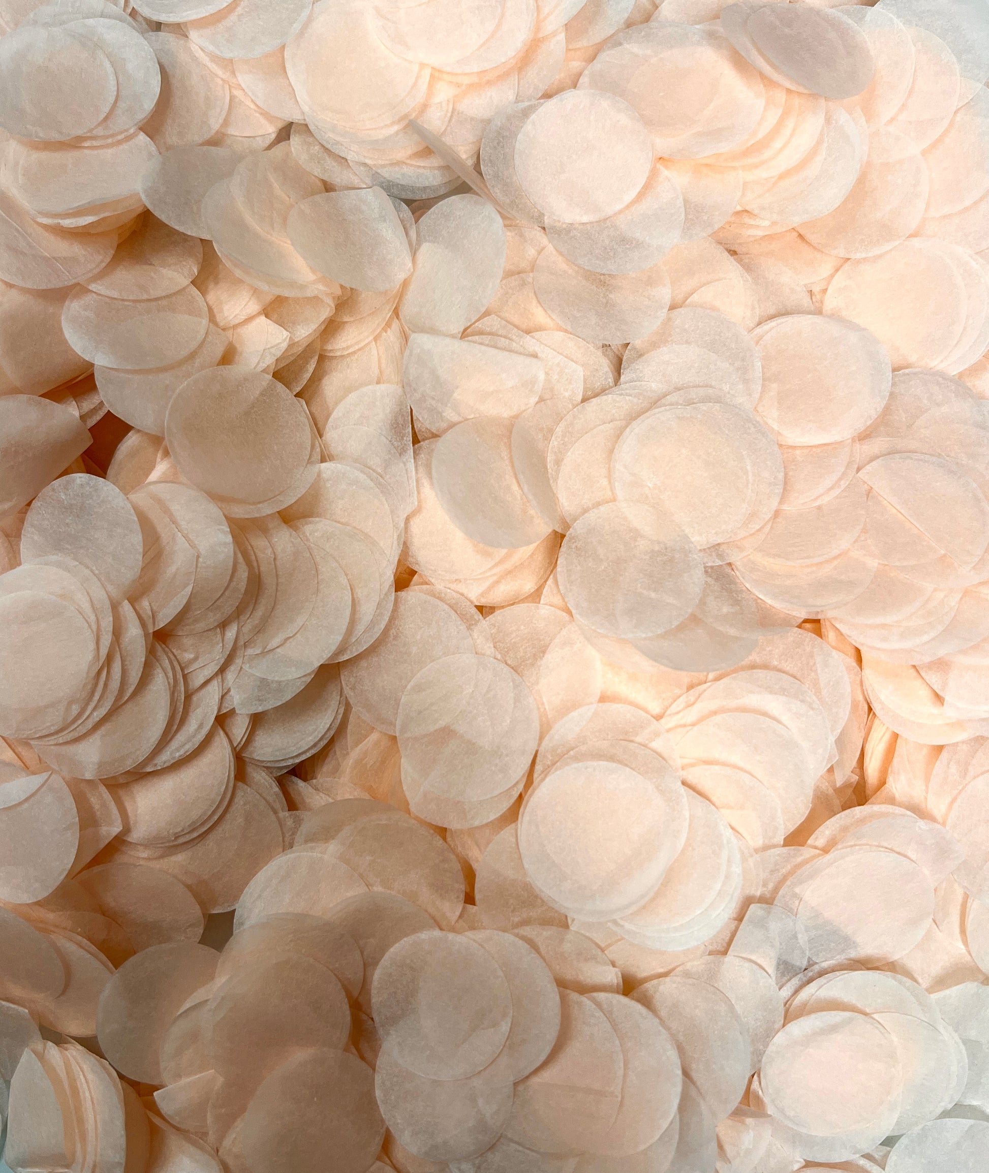 Biodegradable Wedding Confetti Peach