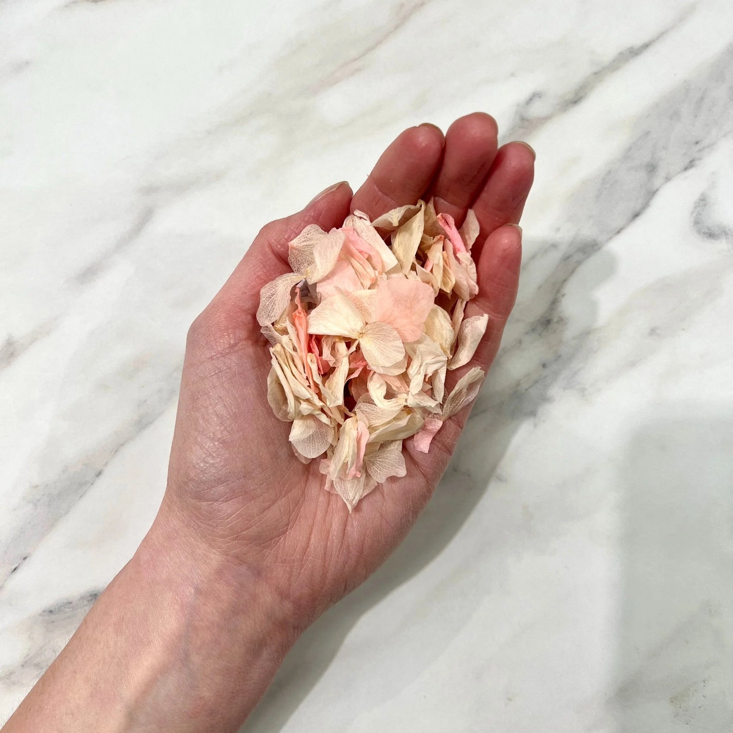 Pink Blossom Natural Confetti | 100% Natural & Biodegradable