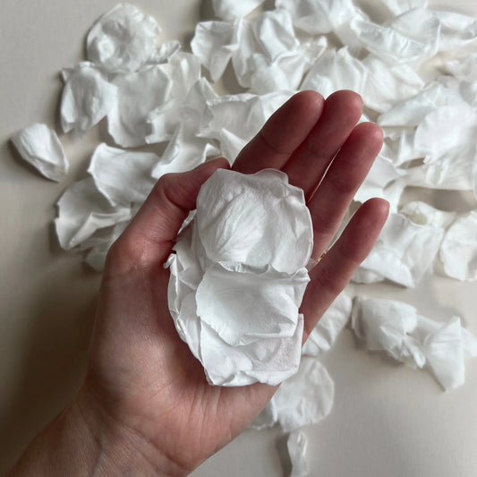 Large White Rose Petal Confetti | 100% Natural & Biodegradable | 8 Handfuls+