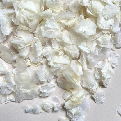 White Hydrangea Petal Natural Confetti | 100% Natural & Biodegradable