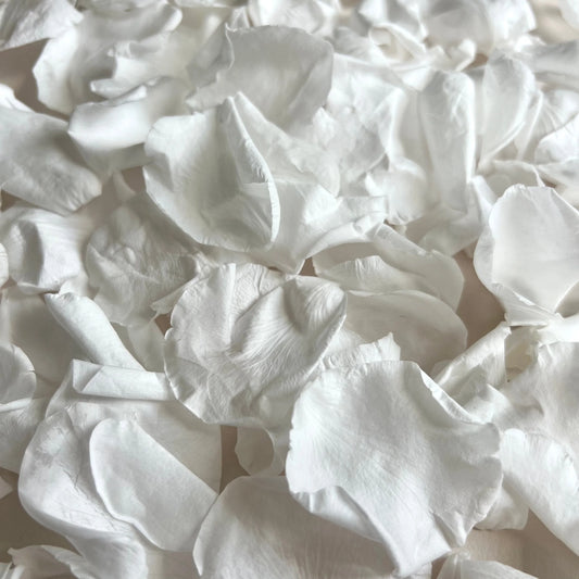 Large White Rose Petal Confetti | 100% Natural & Biodegradable | 8 Handfuls+