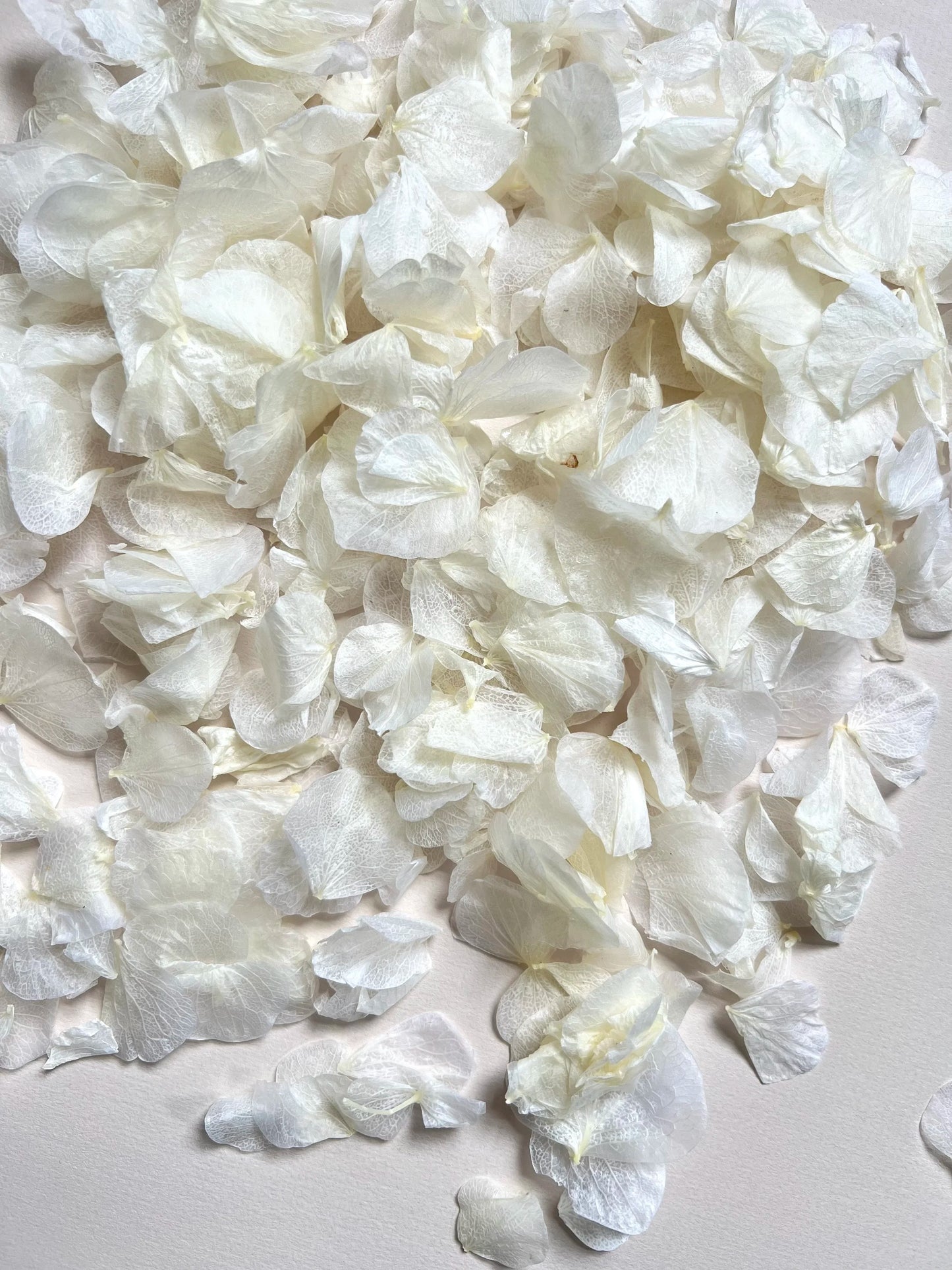 Confetti Sample