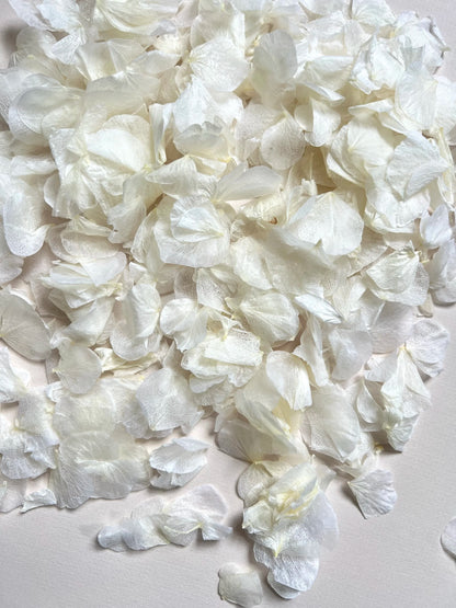 Confetti Sample