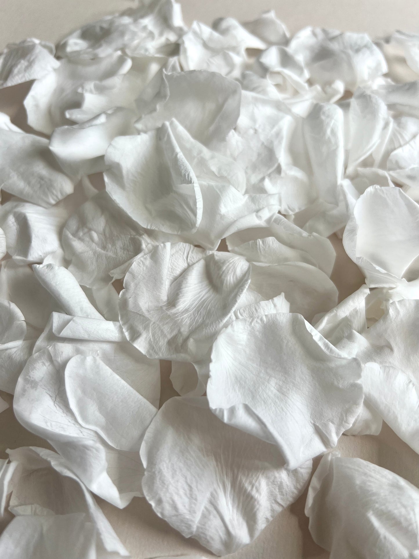 Confetti Sample