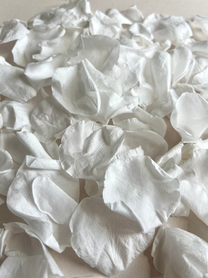 Confetti Sample