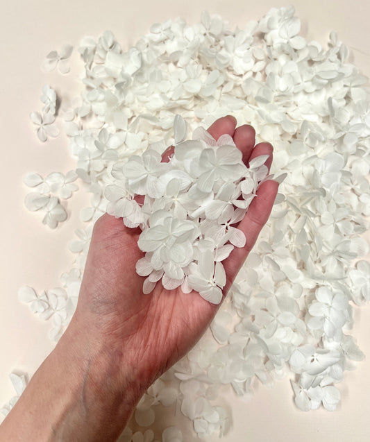 White Butterfly Hydrangea Confetti 